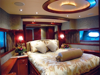 SHEAR FANTASEA -  VIP