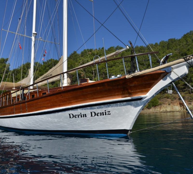 Bow View