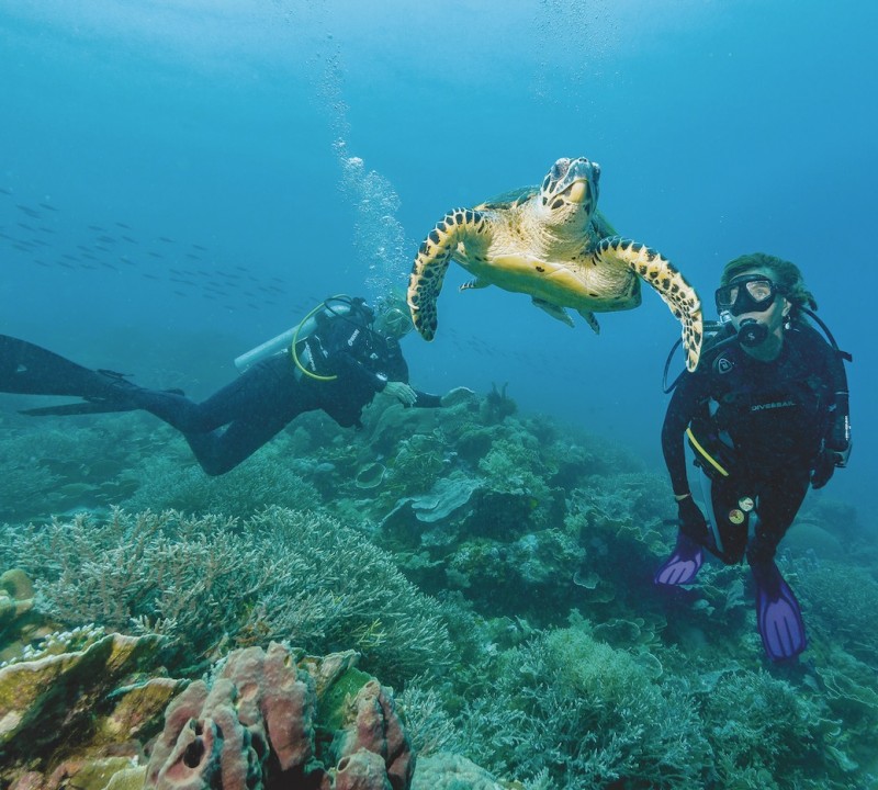 Diving