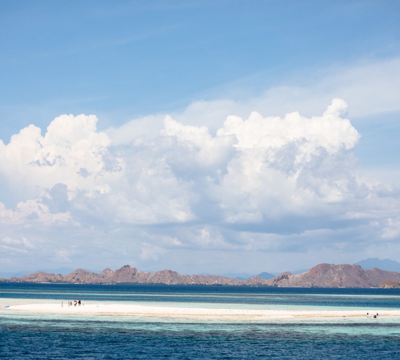 Sandbar (Takamakasar) Komodo