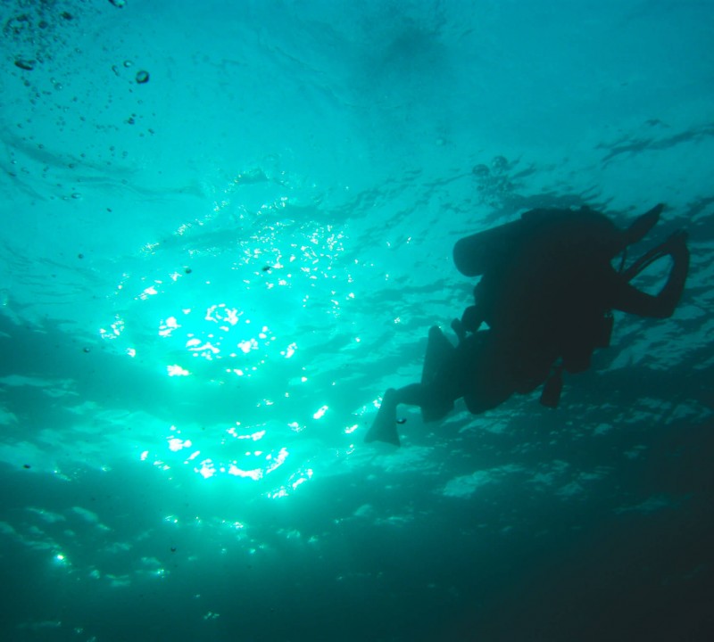 Scuba Diving