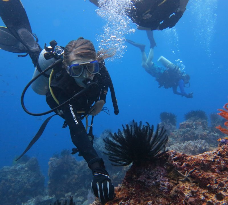 Diving