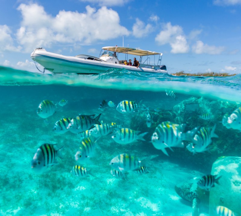 Tender In The Bahamas