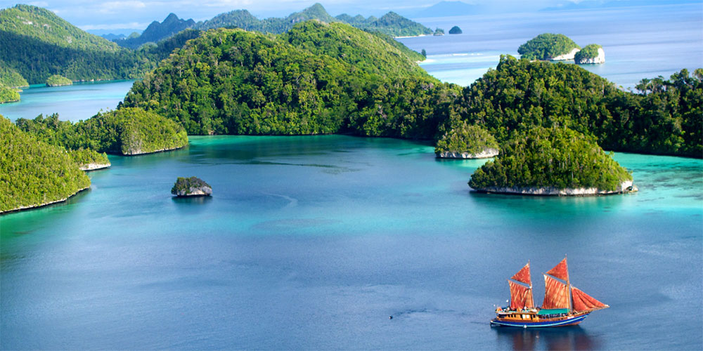 Tiger Blue In Indonesia
