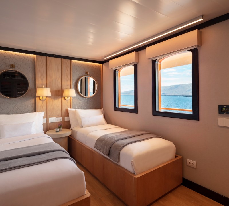 Twin Suite