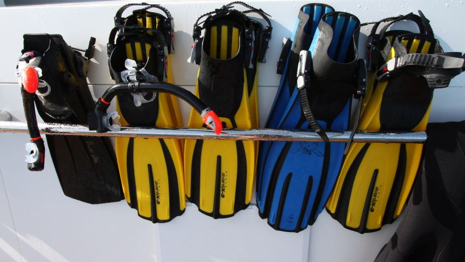 Water Activities - Snorkelling Equipment