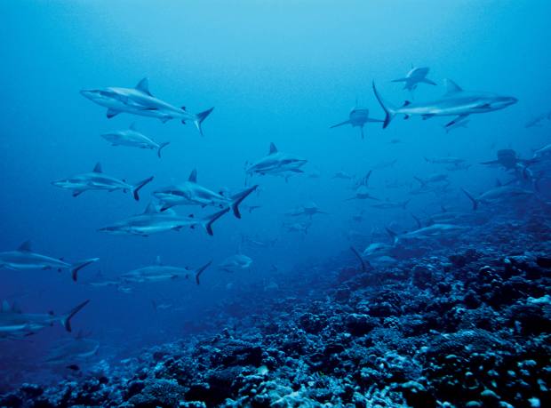 Yacht Charter Location