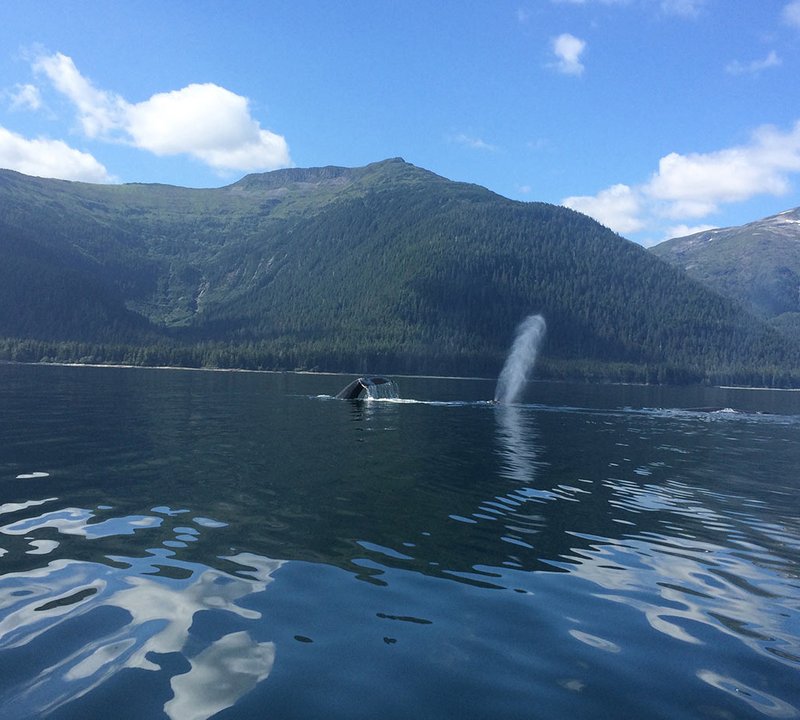 Yacht Charter Vacation In Alaska