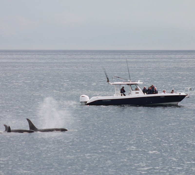 Yacht Charter Vacation In Alaska