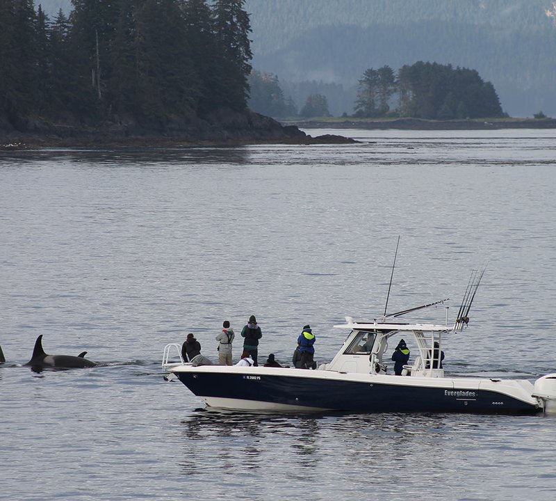 Yacht Charter Vacation In Alaska