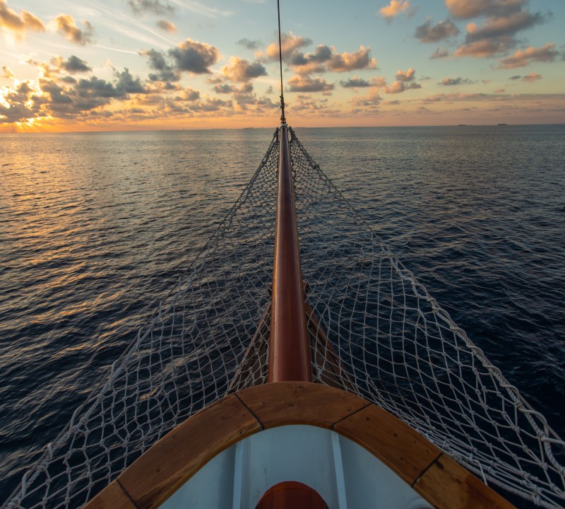 Bow Nets
