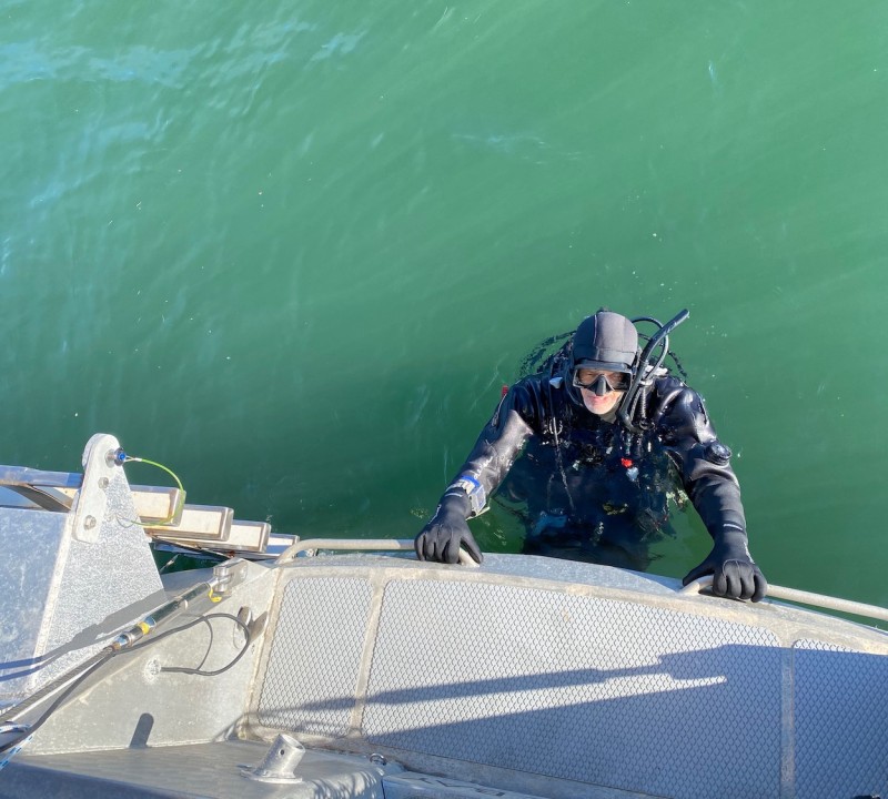 Diving