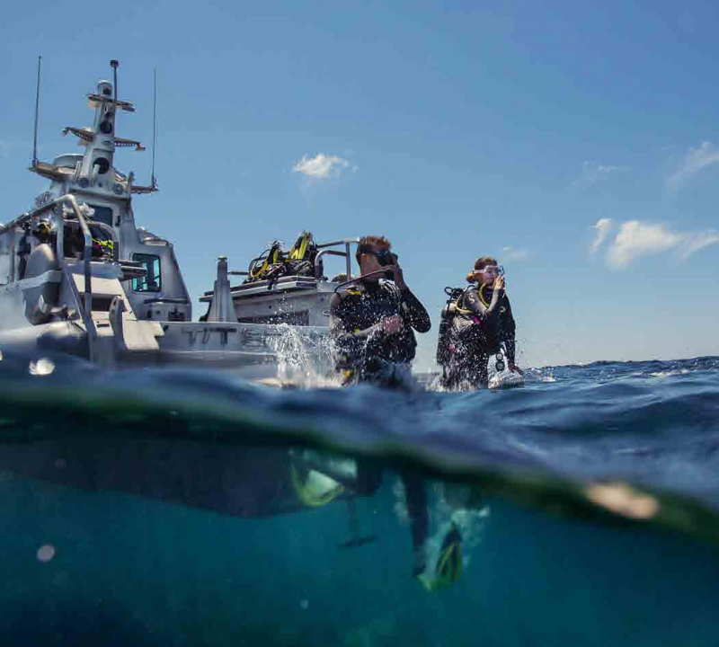 Diving