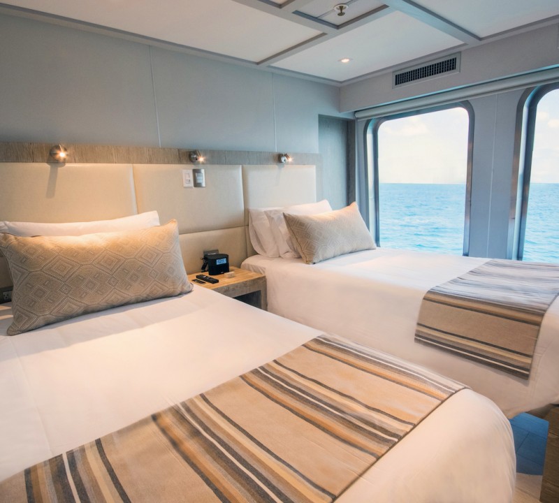 Guest Cabin - Twin