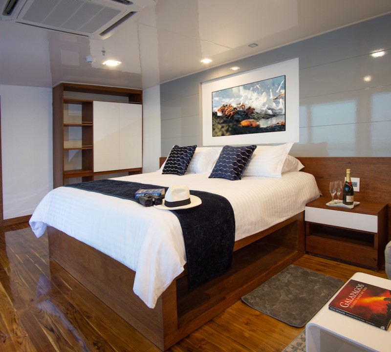 Guest Suite