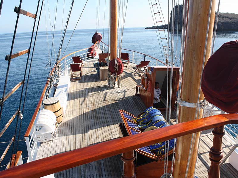 Large Decks