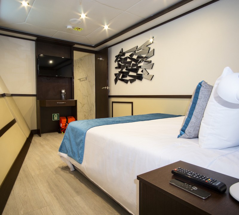 Lower Cabin