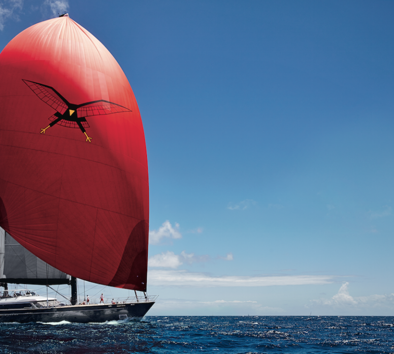 Luxury Sailing Yacht Seahawk