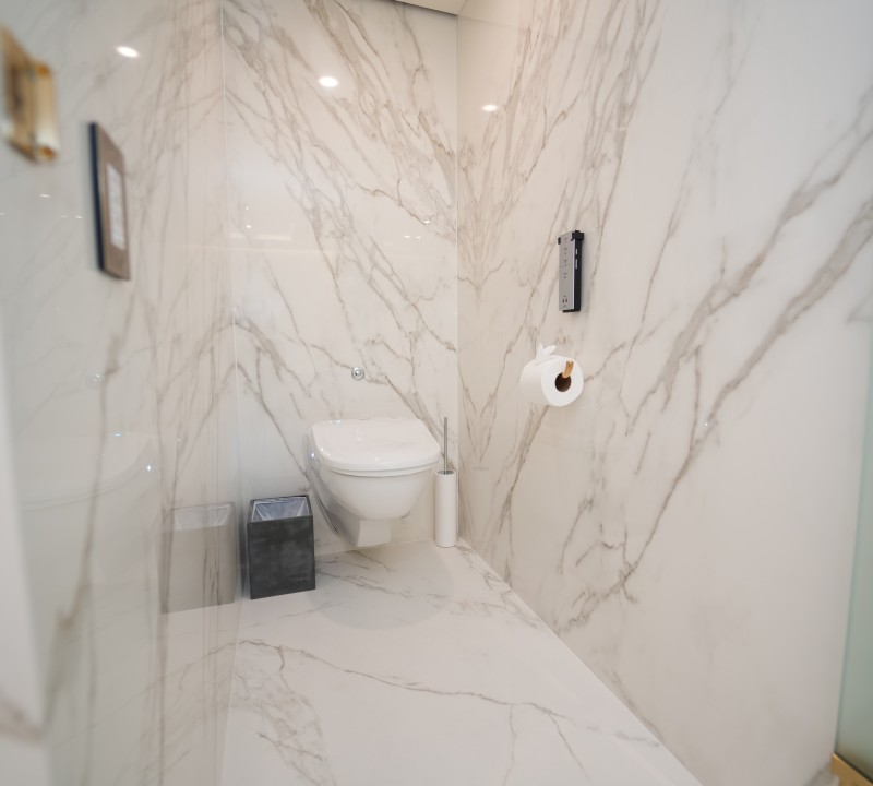 Master Toilet