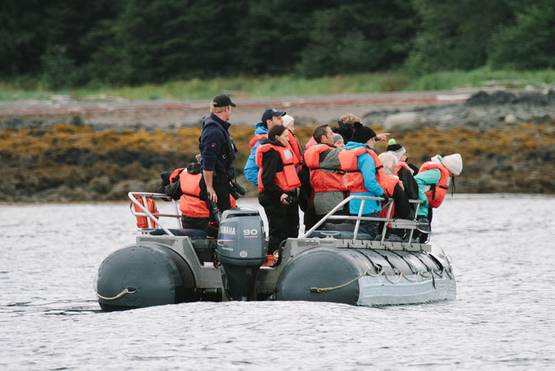 Safari in Alaska