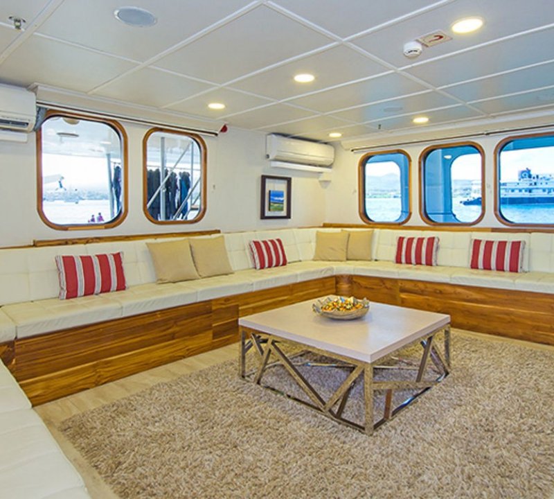 Saloon Area