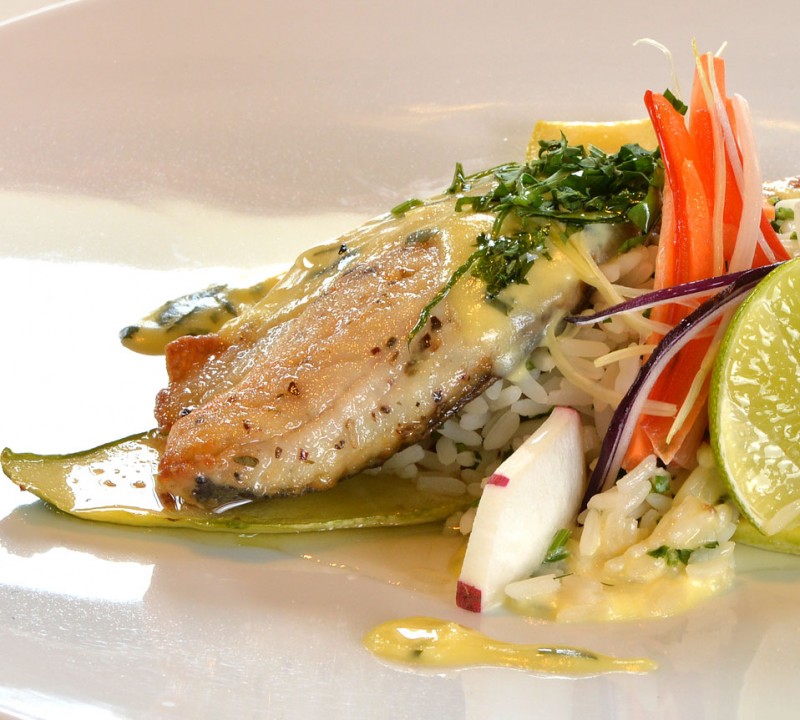 Sample Dish 2