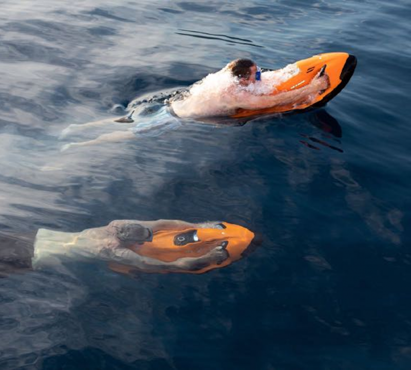 Seabobs