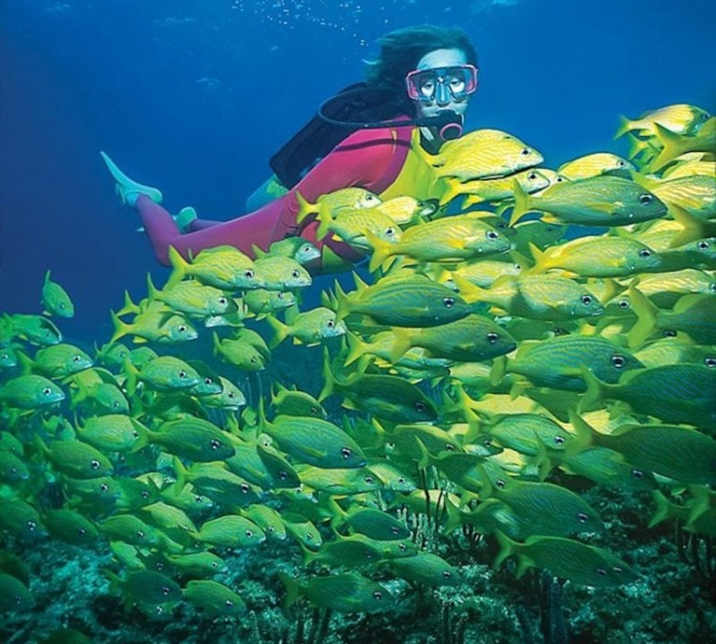 Snorkeling